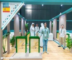 مزرعة إسبانية تدخل المزاد الدولي لمزارع إنتاج الصقور بـ "تبع جير" فائز بسباقات دولية