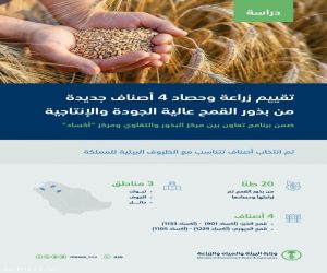 "البيئة": دراسة لتقييم زراعة وحصاد 4 أصناف جديدة من بذور القمح عالية الجودة والإنتاجية تتناسب مع الظروف البيئية للمملكة