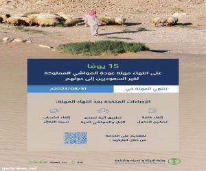 "البيئة": 15 يومًا على انتهاء مهلة عودة المواشي والإبل المملوكة لغير السعوديين إلى دولهم