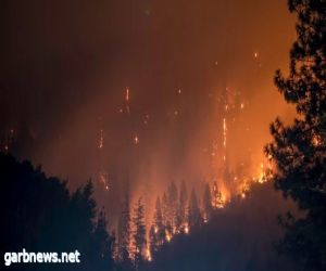 ارتفاع عدد ضحايا حرائق الغابات في هاواي إلى 106 قتلى