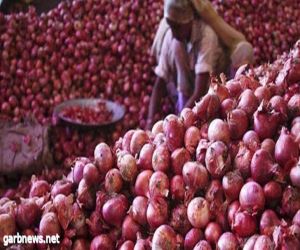 الهند تفرض ضريبة 40 % على صادرات البصل