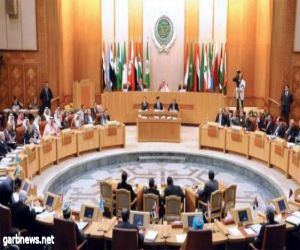 البرلمان العربي: مصر لديها مؤسسات رصينة وعريقة