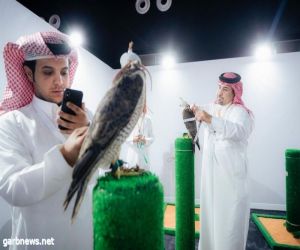 مبيعات مزاد نادي الصقور السعودي تقارب المليون ريال في ختام الليلة السادسة