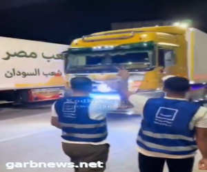 بدء دخول شاحنات المساعدات إلى قطاع غزة من معبر رفح