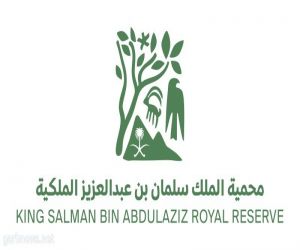 هيئة تطوير محمية الملك سلمان بن عبدالعزيز الملكية" تمهل ملاك الحيوانات السائبة أسبوعين لإخراجها من منطقة الطبيق