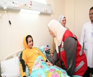 مساعدات إنسانية من وزراء الصحة والشؤون الاجتماعية العرب إلى قطاع غزة