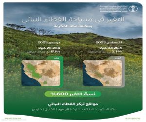 الغطاء النباتي: 600% زيادة في المساحات الخضراء بمنطقة مكة المكرمة