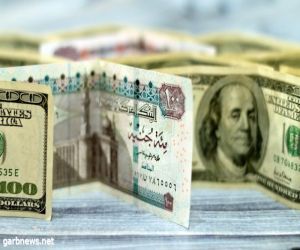 سعر الدولار اليوم في السوق السوداء مقابل الجنيه المصري