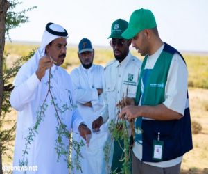 هيئة تطوير محمية الملك سلمان بن عبدالعزيز الملكية بالتعاون مع مركز وقاء تنفذ دراسة مسببات الأمراض النباتية لشجر الطلح وعزل الفطريات المصابة