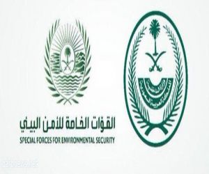 القوات الخاصة للأمن البيئي تضبط مخالفًا لنظام البيئة لاقتنائه وعرضه كائنات فطرية في محافظة جدة