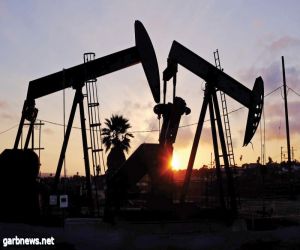 النفط يستقر بعد إبقاء أوبك توقعاتها بشأن نمو الطلب