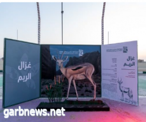 ‎انطلاق مهرجان محمية الملك سلمان بن عبدالعزيز الملكية وسط اقبال كبير من الزوار