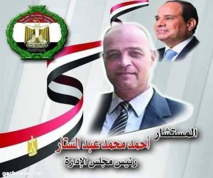 "المنظمة المصرية العربية لحقوق الانسان والتنمية" فى عيون الصحافة  الانسانية وطن للجميع