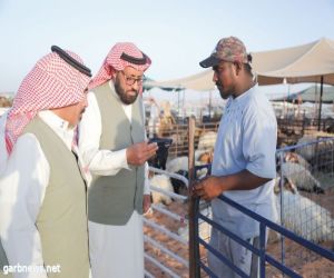 مدير "البيئة والمياه والزراعة " في حائل يتفقد مواقع النفع العام والمسالخ