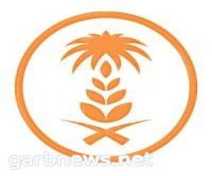 الهيئة العامة للأمن الغذائي تعلن عن طرحها للمناقصة الثالثة لهذا العام لإستيراد القمح