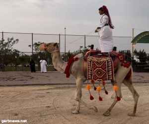 ارتفع عدد الحضور.. الفعاليات تجذب زوار "صيف ليالي الطائف"..