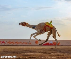 أمجاد .. المطية الأفضل في منافسات "الثنايا"