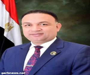 النائب أحمد أبو زيد : انتصارات أكتوبر "علامة مضيئة" فى تاريخ مصر والعالم العربى