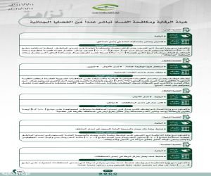 هيئة الرقابة ومكافحة الفساد تباشر عددًا من القضايا الجنائية