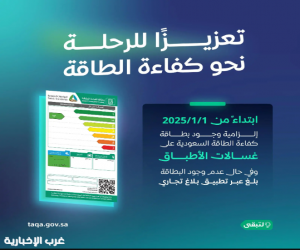 بدءًا من يناير 2025.. إلزامية بطاقة "كفاءة الطاقة لغسالات الأطباق"