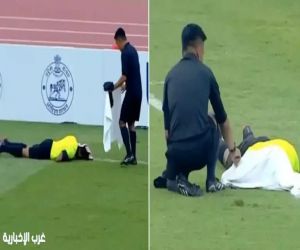 فيديو .. هجوم سرب نحل خلال مباراة في الدوري الهندي وهروب الجماهير وسقوط الحكم على الأرض