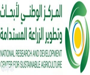 المانجو في جازان.. ثروة اقتصادية تنمو بالبحث والتطوير