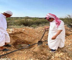 “بيئة الطائف” تزرع 250 شتلة كسياج نباتي دعمًا للمزارعين