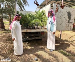 “بيئة الخرمة” وبلدية المحافظة تطلقان حملة تشجير لـ3000 شتلة ضمن جهود الاستدامة البيئية