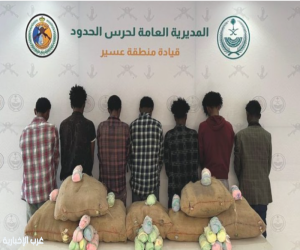 الإطاحة بـ7 مخالفين لتهريبهم 140 كيلو قات بعسير