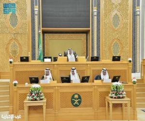 بينها «تطوير مؤشرات لقياس منجزات هيئة الكهرباء».. 5 قرارات لمجلس الشورى