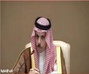 وزير الخارجية: سعدنا بوقف إطلاق النار بين الهند وباكستان