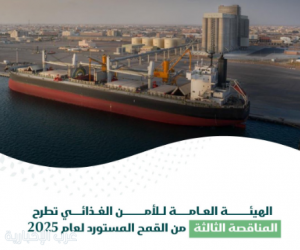 "هيئة الأمن الغذائي" تطرح المناقصة الثالثة لهذا العام لاستيراد 655 ألف طن قمحٍ