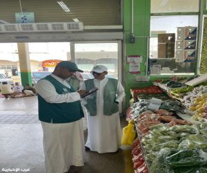 إنجازات نوعية لبيئة منطقة مكة المكرمة خلال الأسبوع الأول من مايو 2025