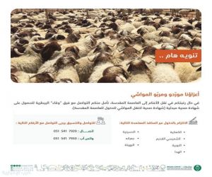 "وقاء" يطالب موردي ومربي الماشية بالحصول على الشهادة الصحية قبل نقل الأغنام إلى العاصمة المقدسة