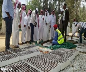 مبادرة وطنية في الطائف تواكب اليوم العالمي للتنوع الأحيائي