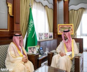 أمير المدينة المنورة يلتقي مدير عام فرع المركز الوطني لتنمية الغطاء النباتي ومكافحة التصحر بالمنطقة