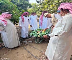 ورشة عمل حول الممارسات الزراعية السليمة لأشجار المانجو في صبيا