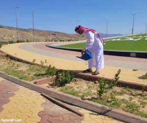 بيئة الكامل تنفذ ثلاث مبادرات لسقيا المزروعات والتشجير بعدد من حدائق المحافظة