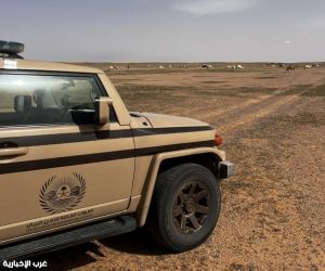 الأمن البيئي يضبط مواطنًا لإرتكابه مخالفة الرعي في محمية الملك عبدالعزيز الملكية