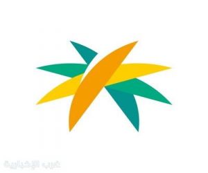 امتلاك السيارات قد يحرمك من الضمان: "الموارد البشرية" توضح شرطين يؤثران على الاستحقاق