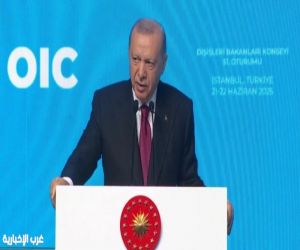 #أردوغان: مساعي #المملكة واضحة لإيجاد حل للقضية الفلسطينية ونتمنى لها النجاح