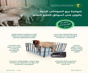 وزارة البيئة والمياه والزراعة  تُعلن ضوابط بيع المواشي الحية بالوزن