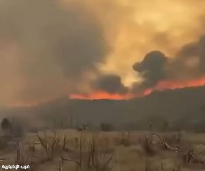 مدني الباحة يخمد حريقًا في أشجار وأعشاب في بلجرشي