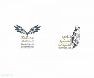 نادي الصقور السعودي يرفع أعداد "الوكري" المهدد بالانقراض إلى 14 صقرًا عبر برنامج "هدد"