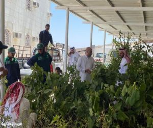 “بيئة بني مالك” توزع 5000 شتلة لتعويض المتضررين من الحرائق في ميسان
