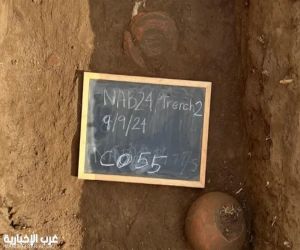 مصر.. علماء يعثرون على مدينة مفقودة في دلتا