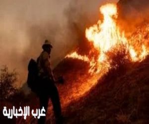 حريق فى كاليفورنيا يدمر أكثر من 52 ألف فدان فى 24 ساعة