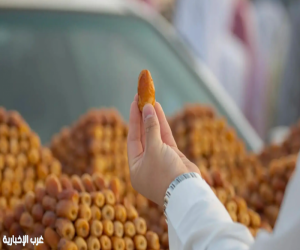 موسم جني بواكير التمور بالقصيم يعزز الحراك الاقتصادي بالمملكة
