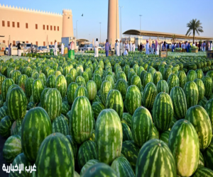 البطيخ يعود إلى الأسواق وسط إقبال واسع من المتسوّقين
