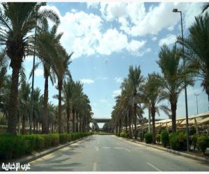 جامعة الأميرة نورة تُطلق المرحلة الثانية من المعسكر الصيفي "سعف وشغف"